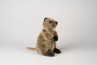 Kösener-Quokka