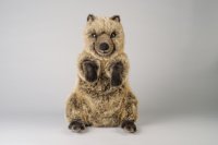 Kösener-Quokka