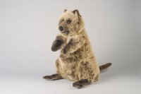 Kösener-Quokka