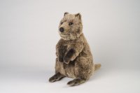 Kösener-Quokka