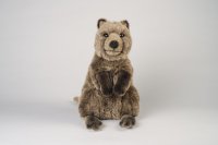Kösener-Quokka