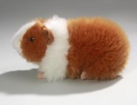 Meerschweinchen 20 cm
