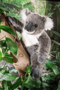 Kösener-Koala grau