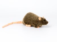Kösener-Ratte 