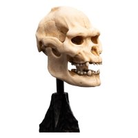 Herr der Ringe Mini Statue Skull of Lurtz 14 cm
