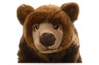 Plüsch Braunbär, Grizzly-Bär