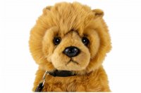 Plüsch Chow-Chow Hund sitzend mit Leine