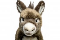 Plüsch Esel grau-braun stehend