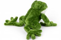 Plüsch- Frosch
