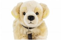 Plüsch Golden Retriever mit Leine