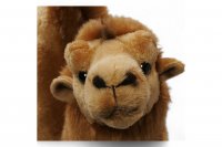 Plüsch Kamel, Trampeltier stehend