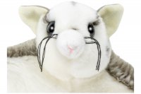 Olüsch Flughörnchen, Gleithörnchen