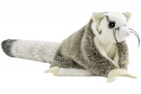 Olüsch Flughörnchen, Gleithörnchen