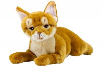 Plüsch-Abessinierkatze