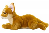Plüsch-Abessinierkatze