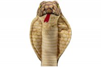 Plüsch-Schlange, Kobra