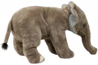 Plüsch-Elefant, Afrikanischer Elefant