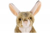 Plüsch-Wüsten-Springmaus