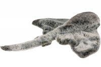 Plüsch-Rochen, Stachelrochen