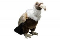 Plüsch-Geier