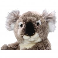 Plüsch-Koala Bär