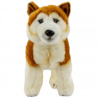 Plüsch Akita Inu
