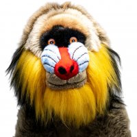 Plüsch Mandrill Affe