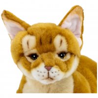 Plüsch Abessinierkatze