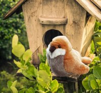 Kösener Spatz grau braun