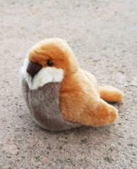 Kösener Spatz grau braun