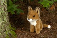 Kösener Füchslein, sitzend