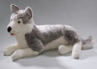 Husky liegend ca. 60 cm